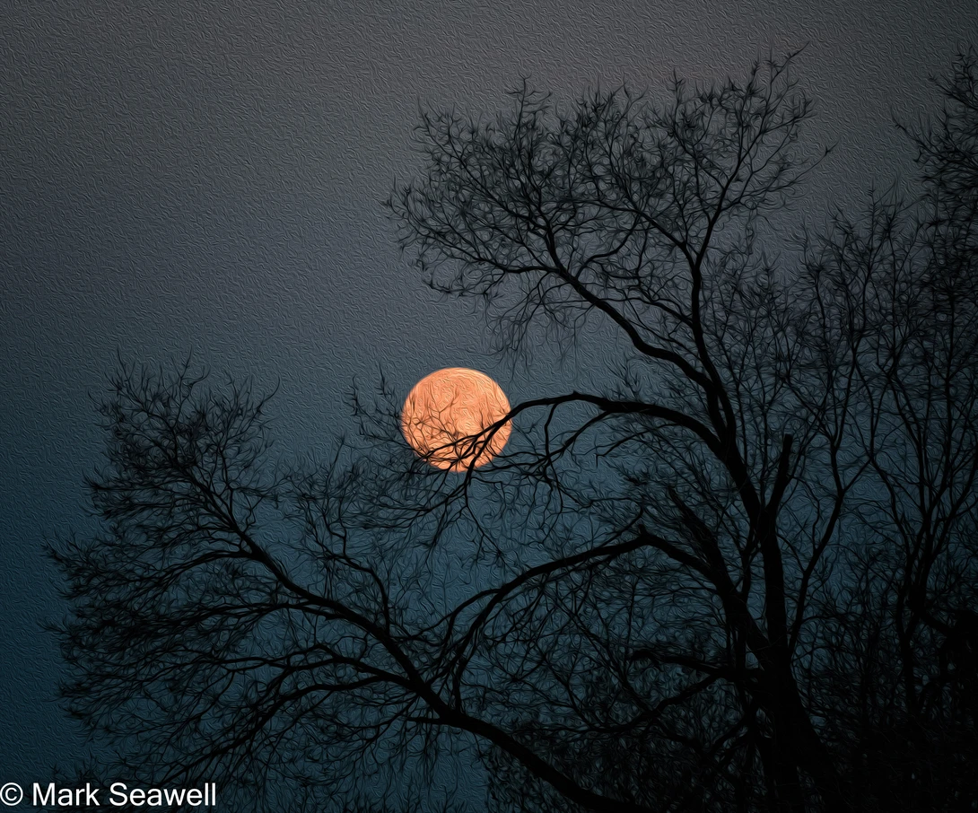 View 782ca9fd100b66e915c1d1892c355b86.jpg by Mark Seawell
