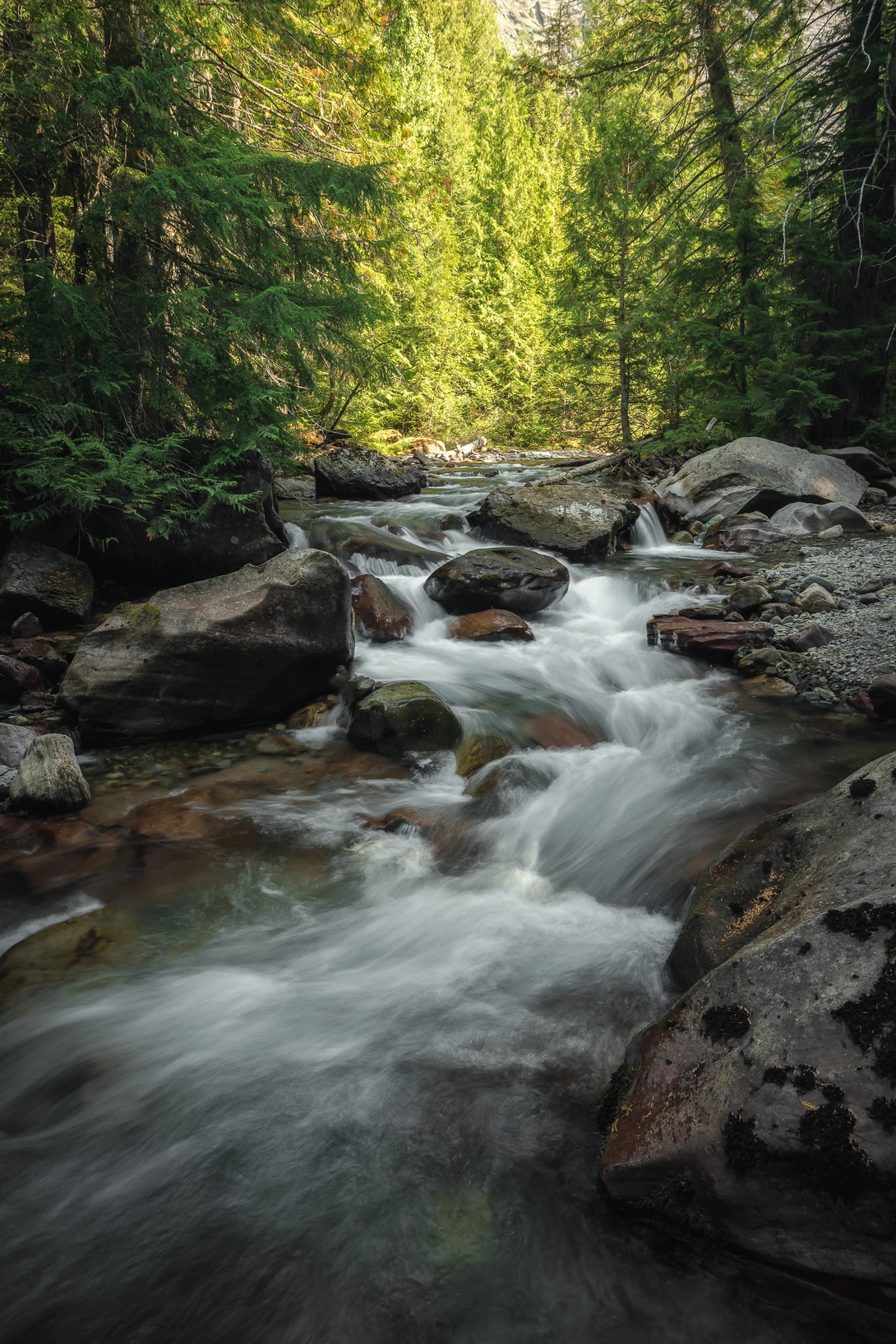 View ab1fa9717a41a7e725d64d9e0746018f.jpg by Trevor Parker