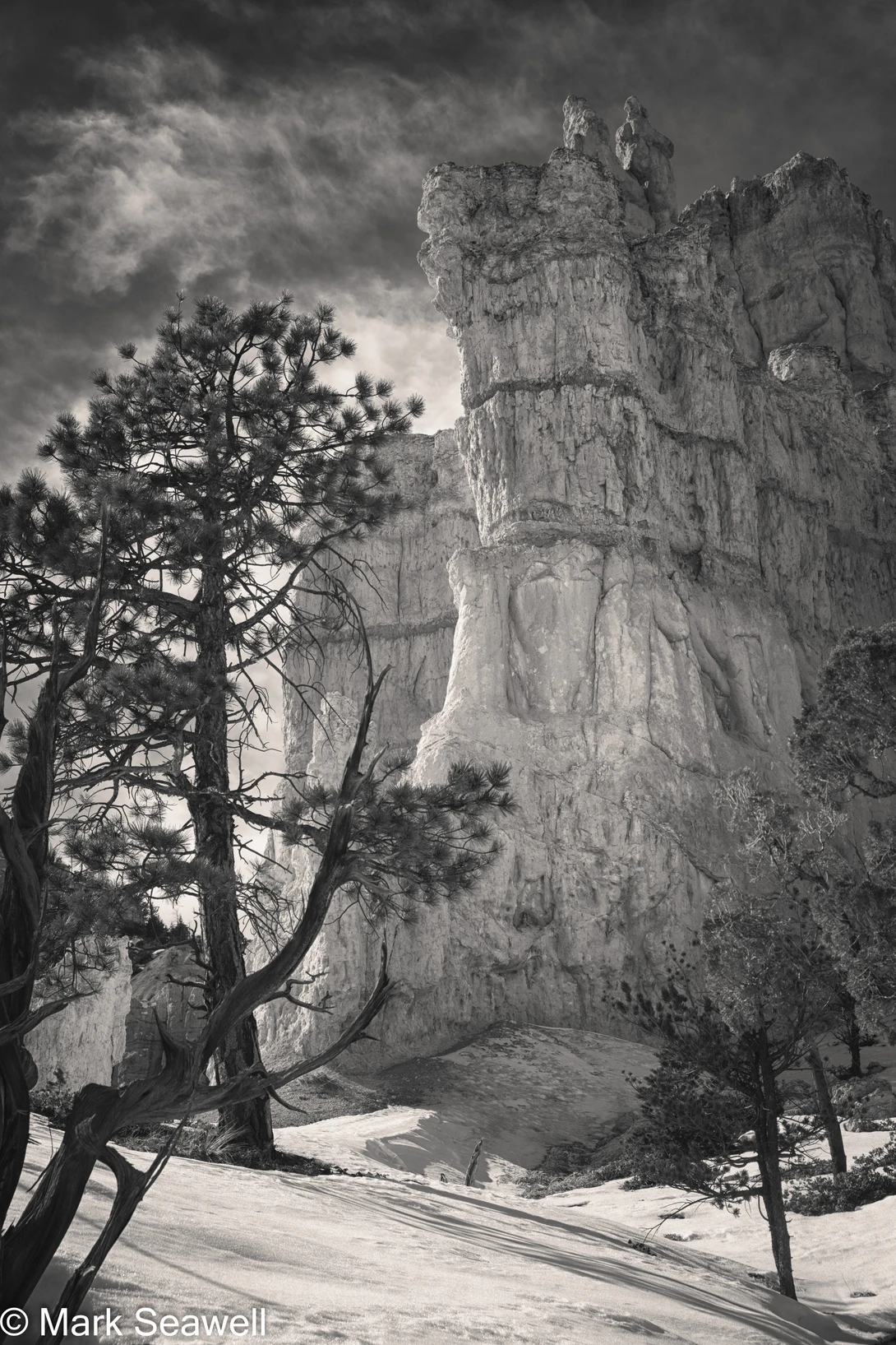 View c77310533fc593c1b6fe6f6b2902e08d.jpg by Mark Seawell