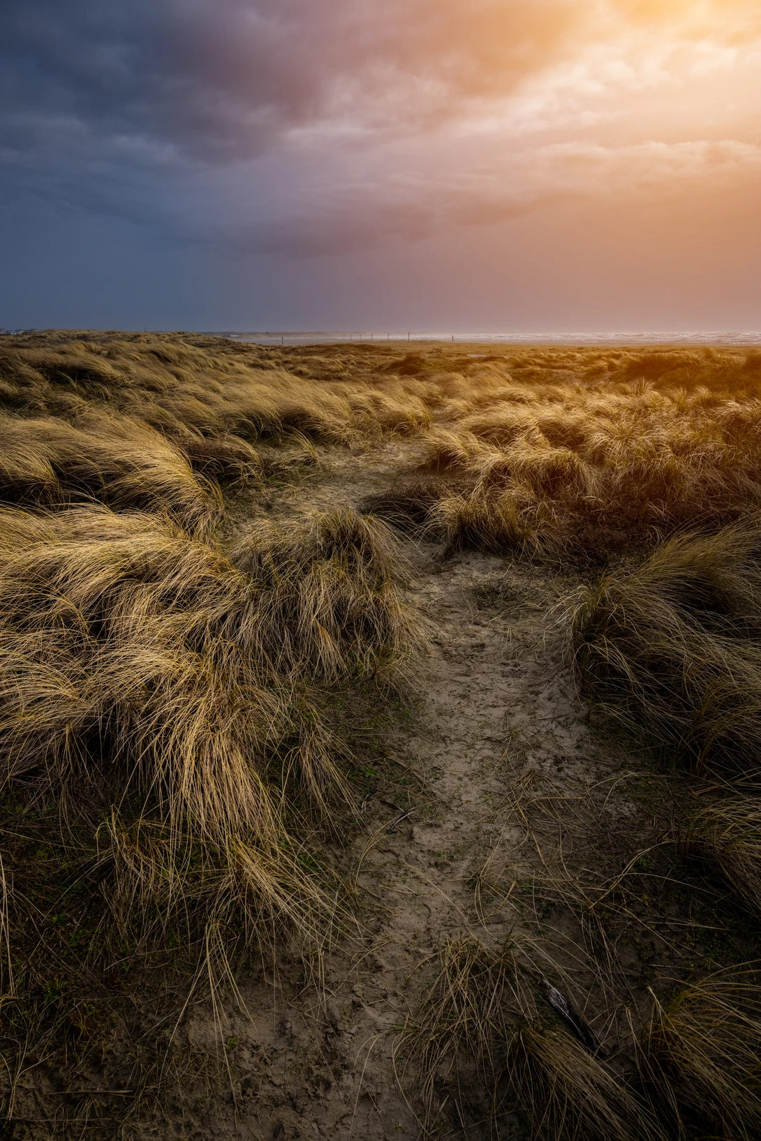 View e9282965d59c8223e83f989d6f9f1832.jpg by Matthijs Bettman