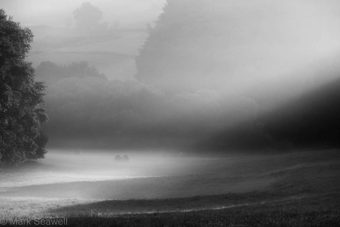 View dc338b8ef9076849986119c934e9944d.jpg by Mark Seawell