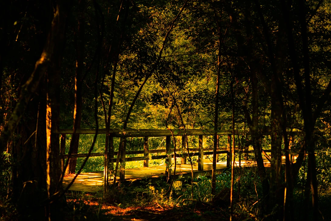 View 1b9175094a325ebfdc242b0a1b2dc293.jpg by Joseph Marc Photography