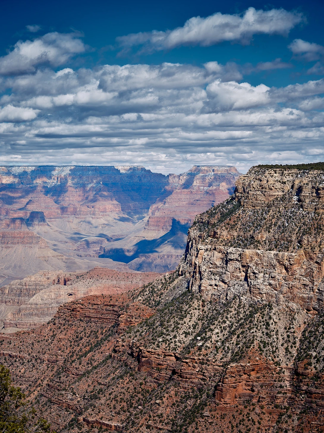 View 2fe5ca5b0e5b57472f6f06477749cc4a.jpg by Paul Sokal