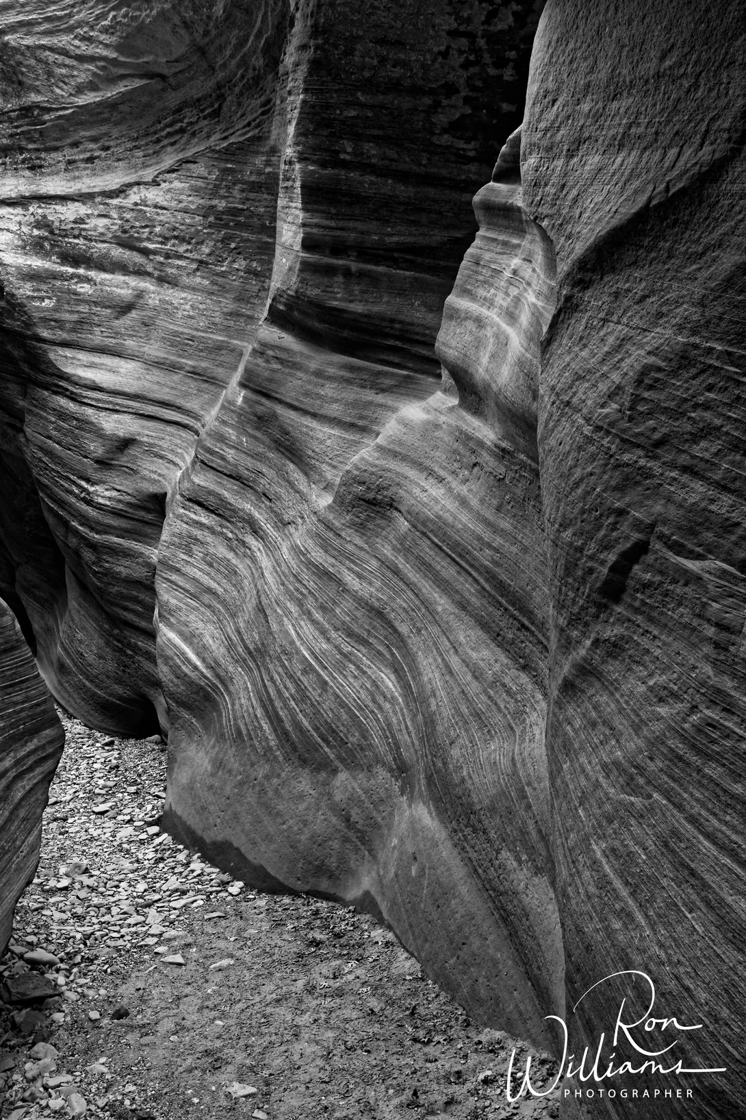View Small Slot in Zion by Ron Williams