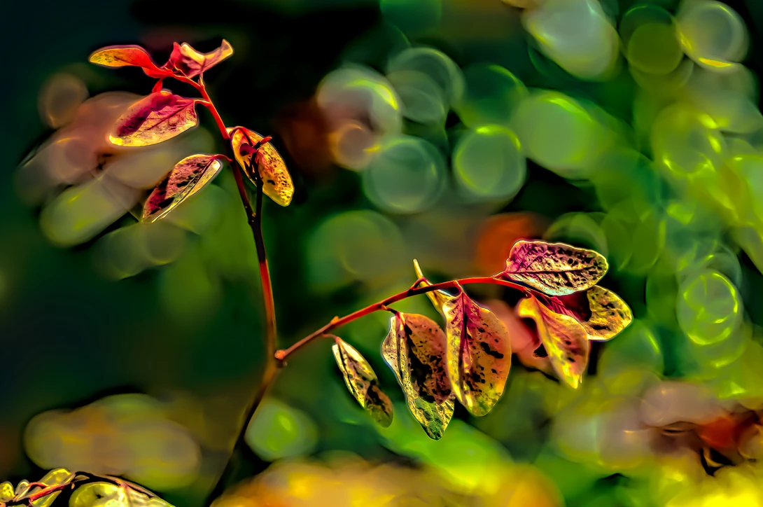 View 3c8779a968cbf0096a551ef7c215d413.jpg by Jonathan Usha