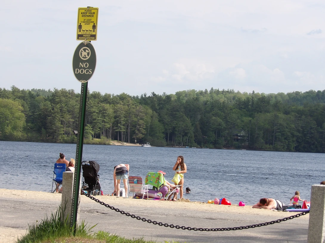 View CHILLING AT THE BEACH by tammy higgins