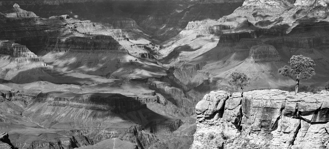 View 8e0a73c2eb21b45f5ee20cc32bb9a433.jpg by Paul Sokal