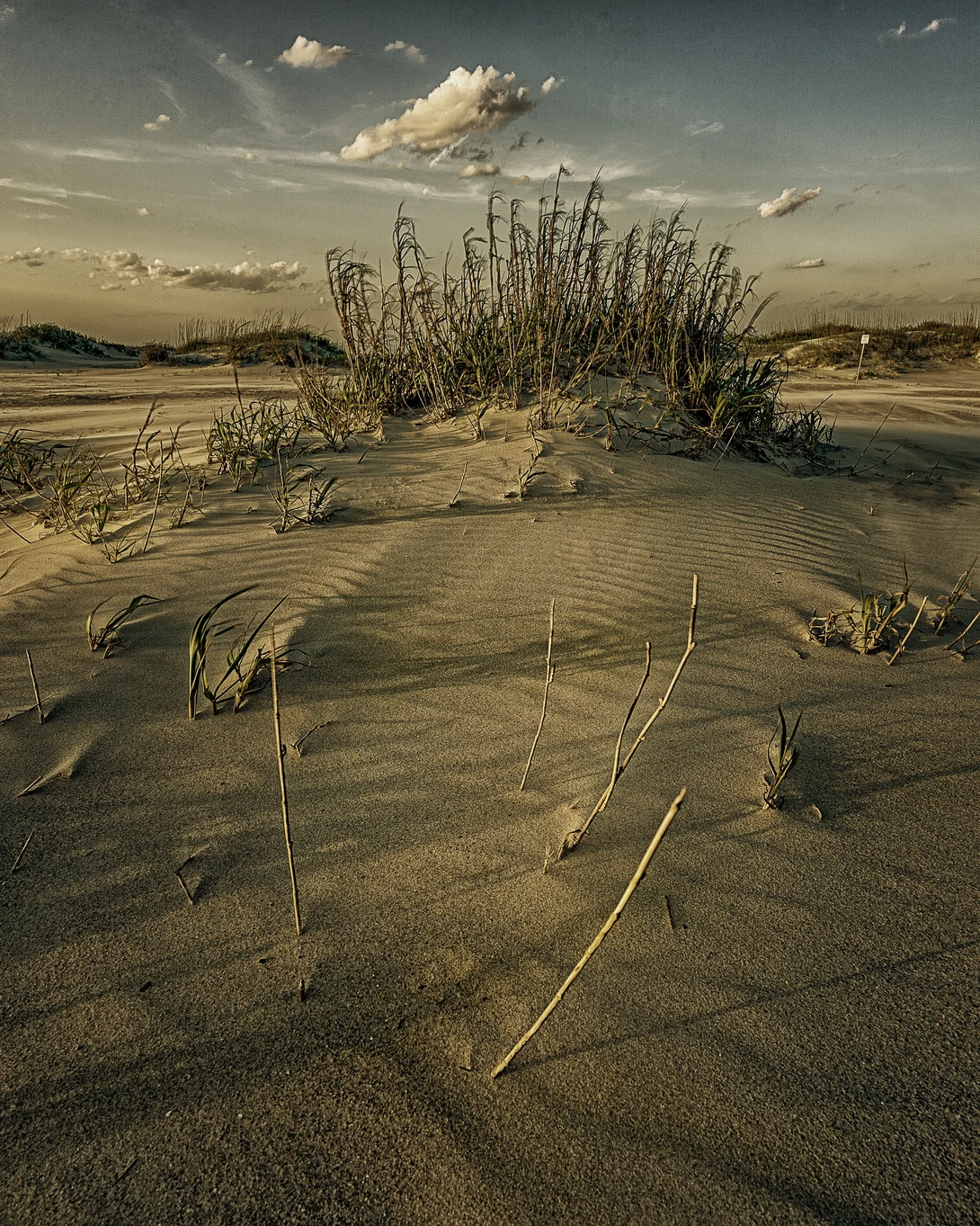 View ba78e7ed8361dd9c9c90f0a4ddc12241.jpg by Kyle Foreman