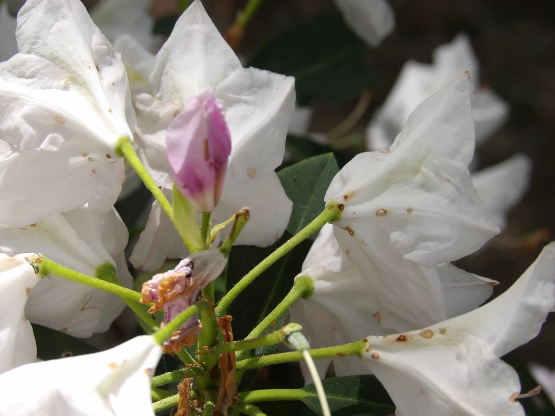 View 0f0be5eabbc6e0c77a80cfe41c0f9da8.jpg by tammy higgins