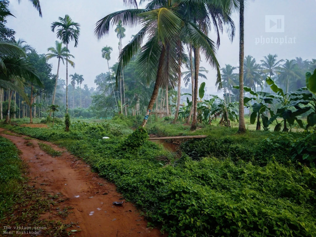 View 1782c9f9fc5d85734d4db47d31fdbc31.jpeg by Abhinand R