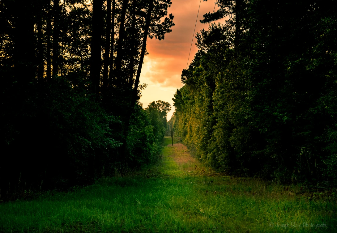 View 5853b162058b4bc4a3e017564eeba87c.jpg by Joseph Marc Photography