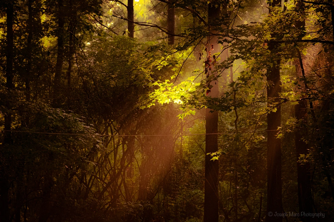 View b12f584a2133aa01c20441e62f64b50e.jpg by Joseph Marc Photography