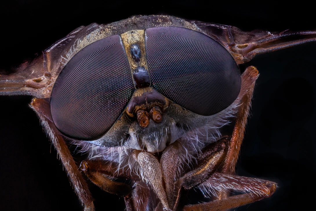 View e8e00b28a687ef946eefe22a9cf5cdd2.jpg by Terry Waggoner