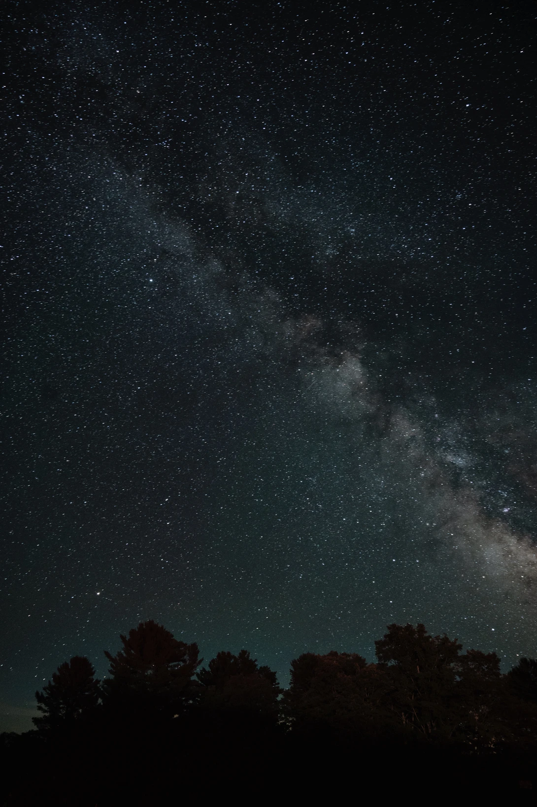 View 76dbdd85e067d1e5a76232e757e8bdd9.jpg by Chris Vasquez