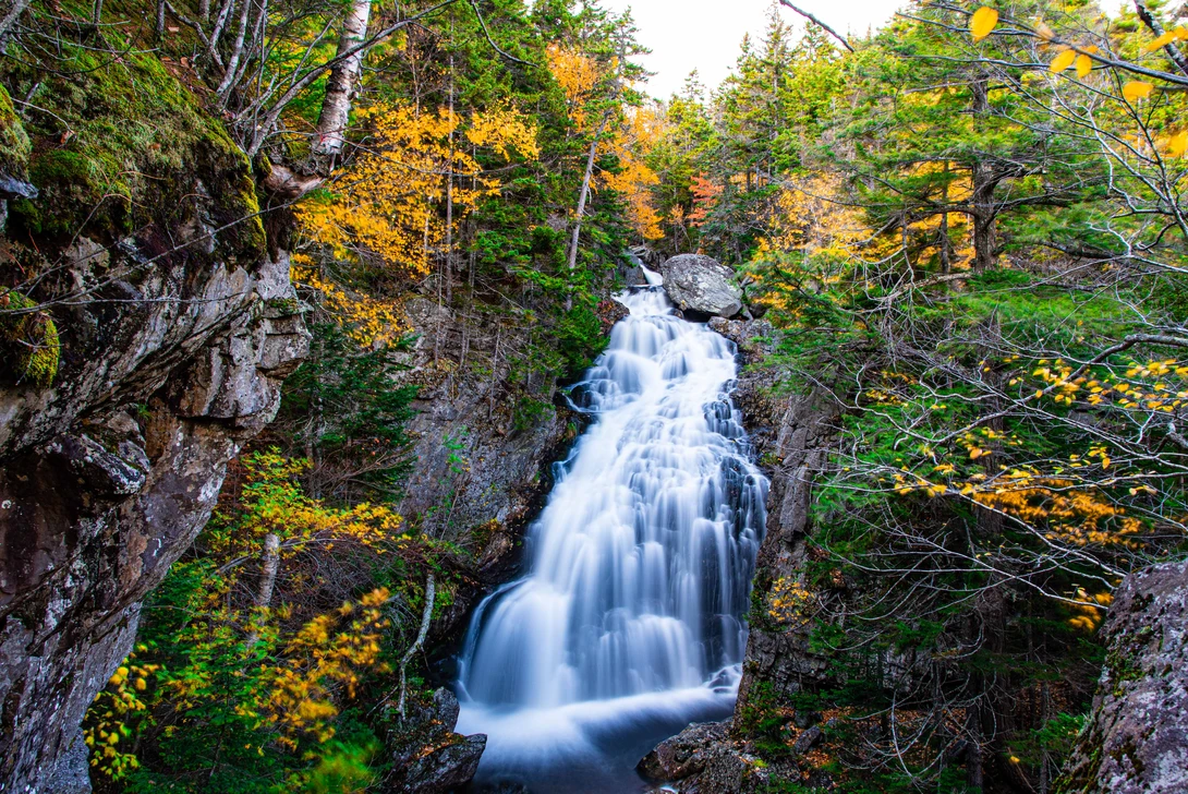View 0cec06a7d8849f59f36ed11ff6506b34.jpg by Dennis McCarthy