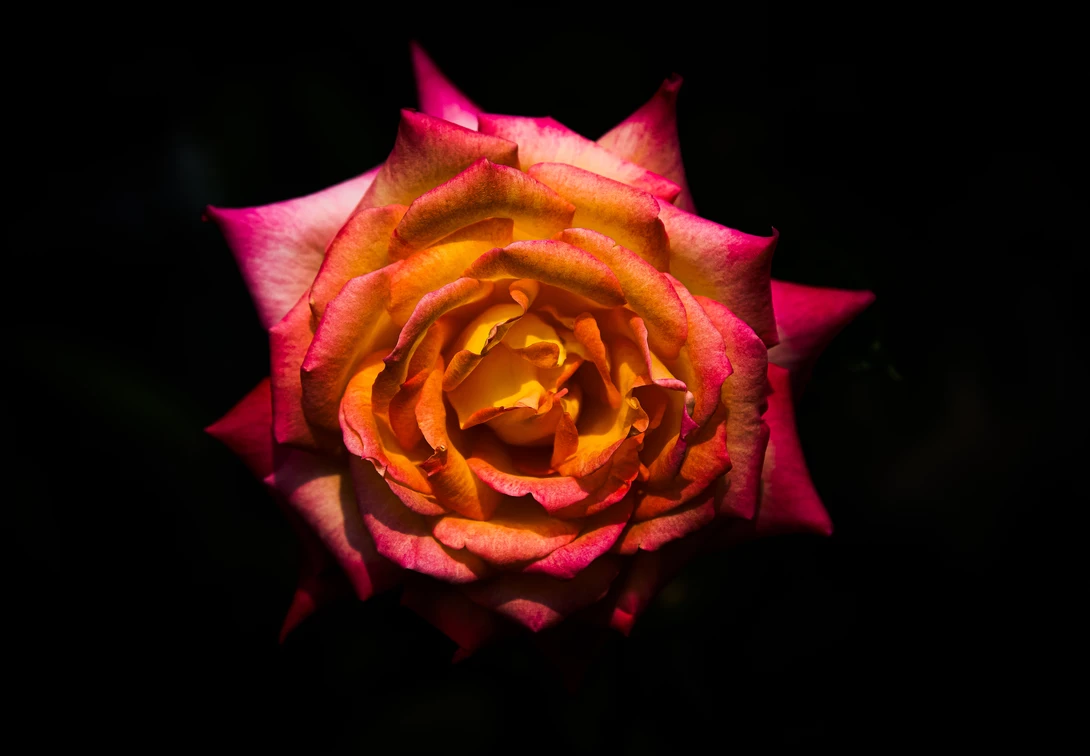 View 4925825550766d287505d955a968e753.jpg by Don L