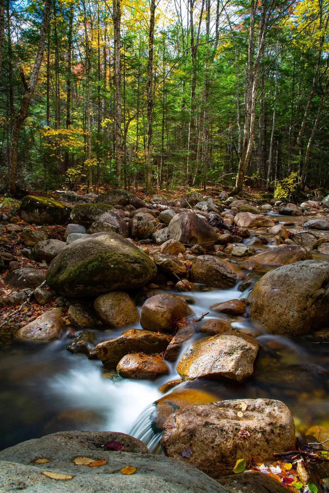 View 686fb6c69de90f9cea76d88c20731f9b.jpg by Dennis McCarthy