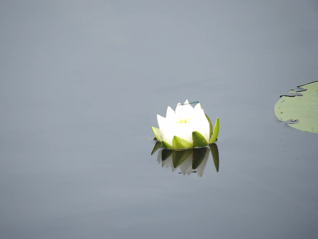View 86fa524be307fcd6f1903557a114ff43.jpg by tammy higgins