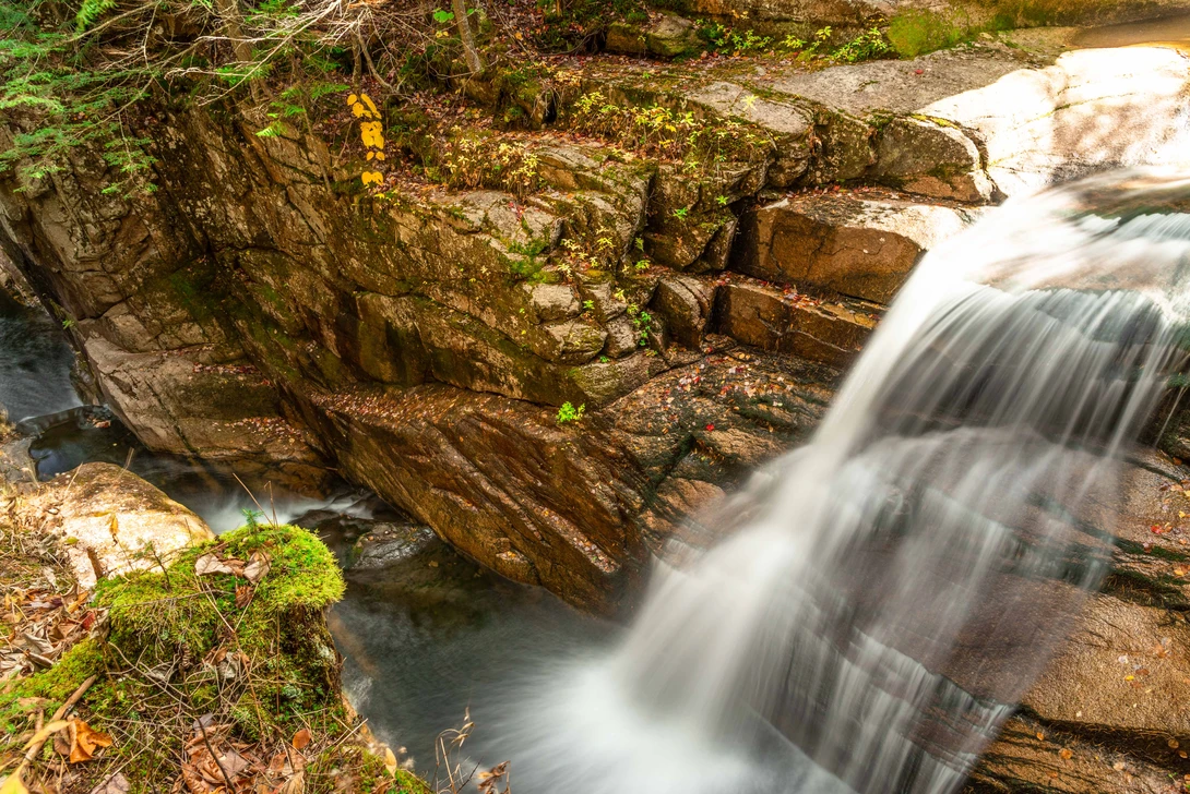 View 992607b9c56301e427bcb1f795ff13e8.jpg by Dennis McCarthy