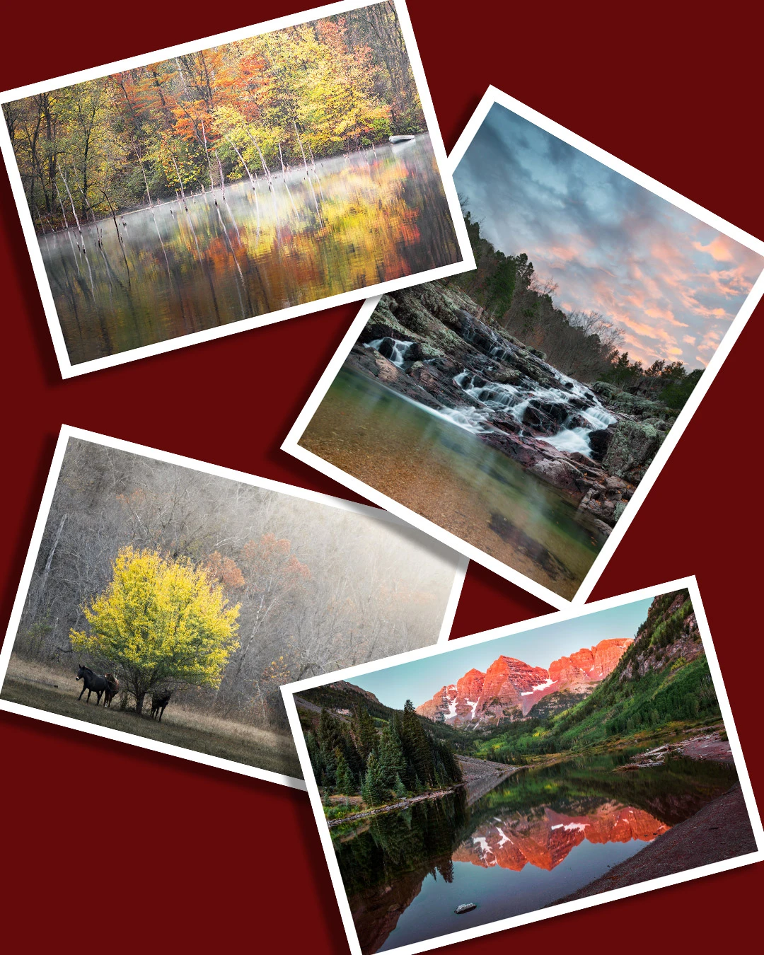 View 3d5304c16739519bd39d7c55e35cd30b.jpg by Thomas Herbst