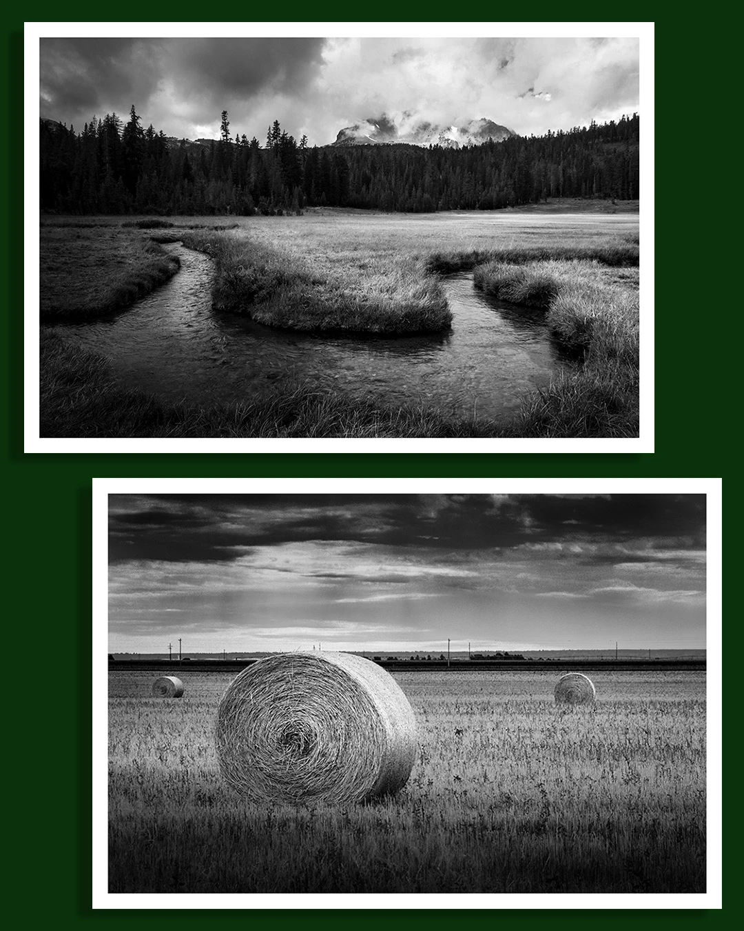 View 46f37a88b966bb634342130132c0ee3c.jpg by Thomas Herbst