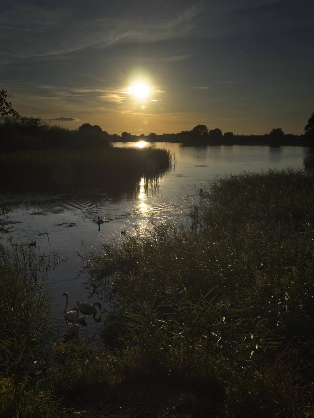 View 4a5f3202d8b5f381baa213ab8a6901c7.jpg by Ben Coyte