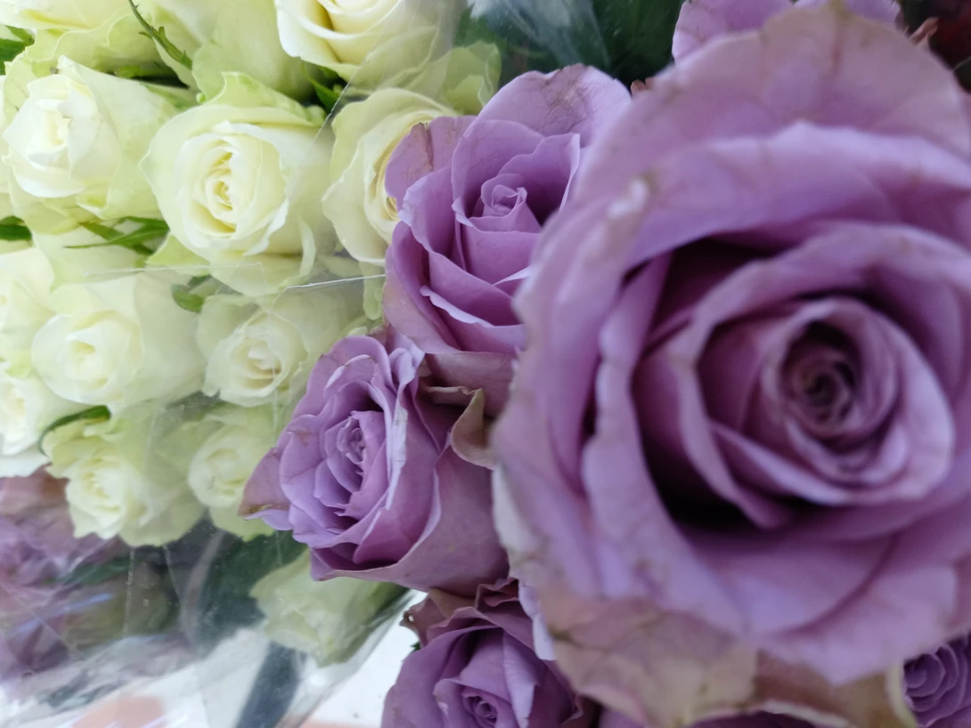View b14820e792982f1532205e58c5356c7c.jpg by tammy higgins