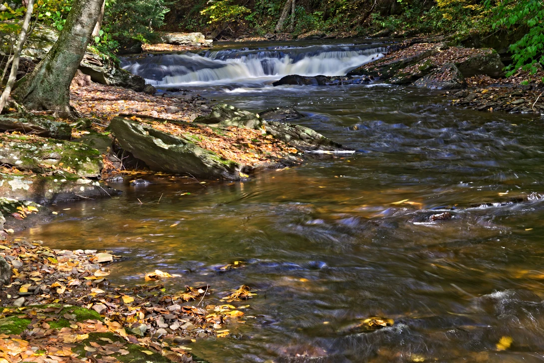 View 25931e665c1716114a4cad49b4526ae4.jpg by Ian Masterson