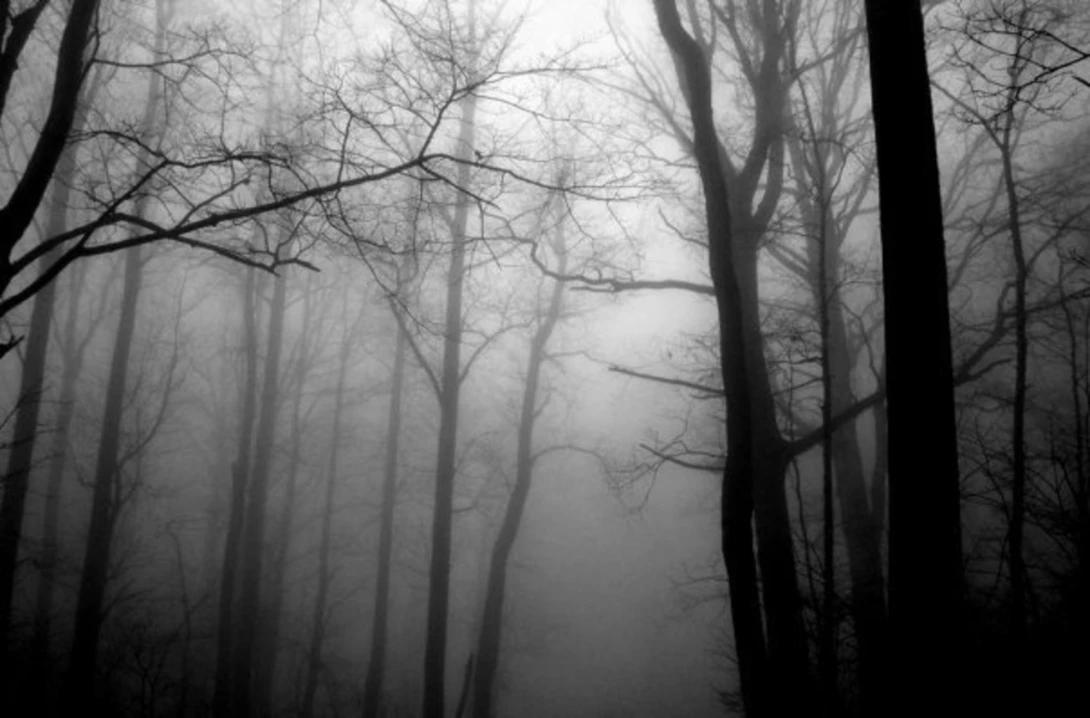 View c35bf9ae7520b045a364524369b653b4.jpg by Bokehen Film