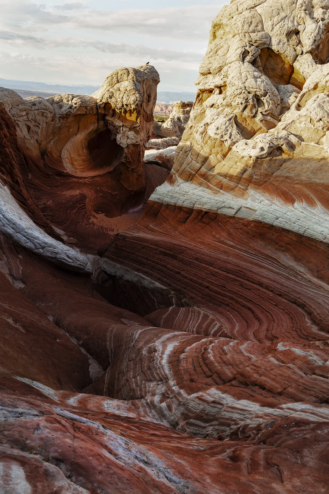 View ef510b6774f5e4164f5ef26f83ffebb4.jpg by John Pless