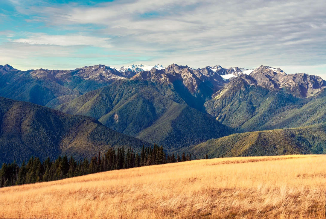 View 5e9d9b837af662f8e45b2709a238bf2c.jpg by Nicholas Vettorel