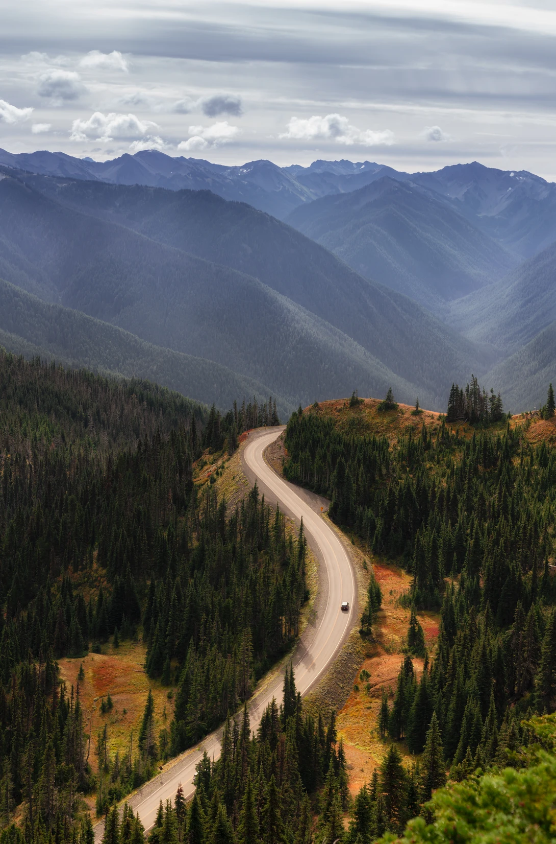 View 9313f77a17ff41628e38b1e5255dffcf.jpg by Nicholas Vettorel