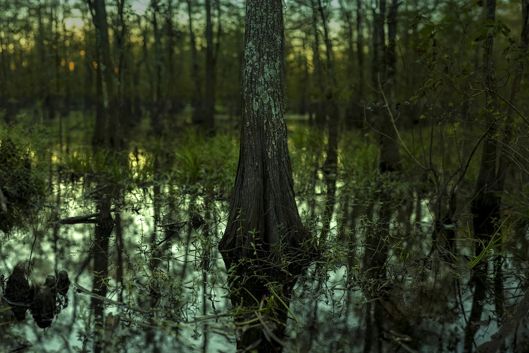 View b96346621a252ca0aaf84cbaafc7d281.jpg by Dusty Cooper