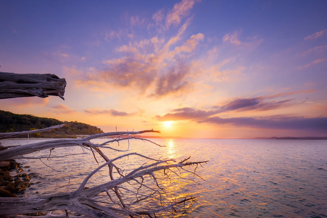 View cfafdaae3262a3f6e960f6e990c6d9c8.jpg by Philip Young