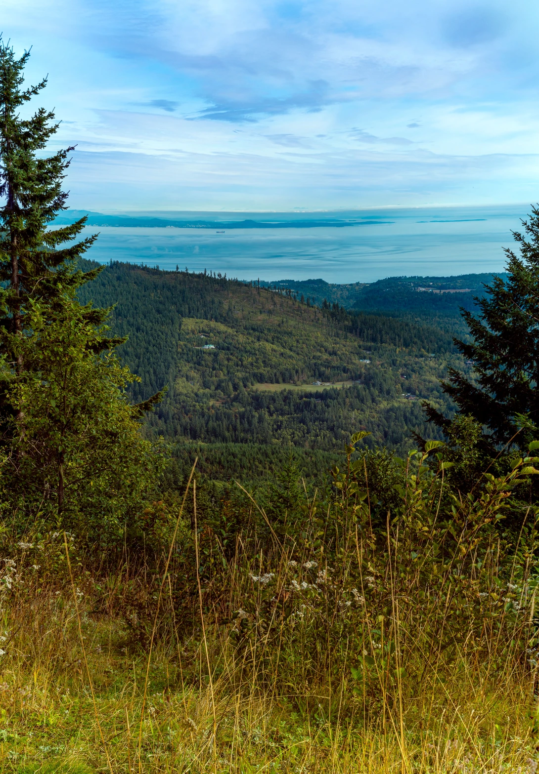 View d29e243a381889fc38b4b9bac7ea10bf.jpg by Nicholas Vettorel