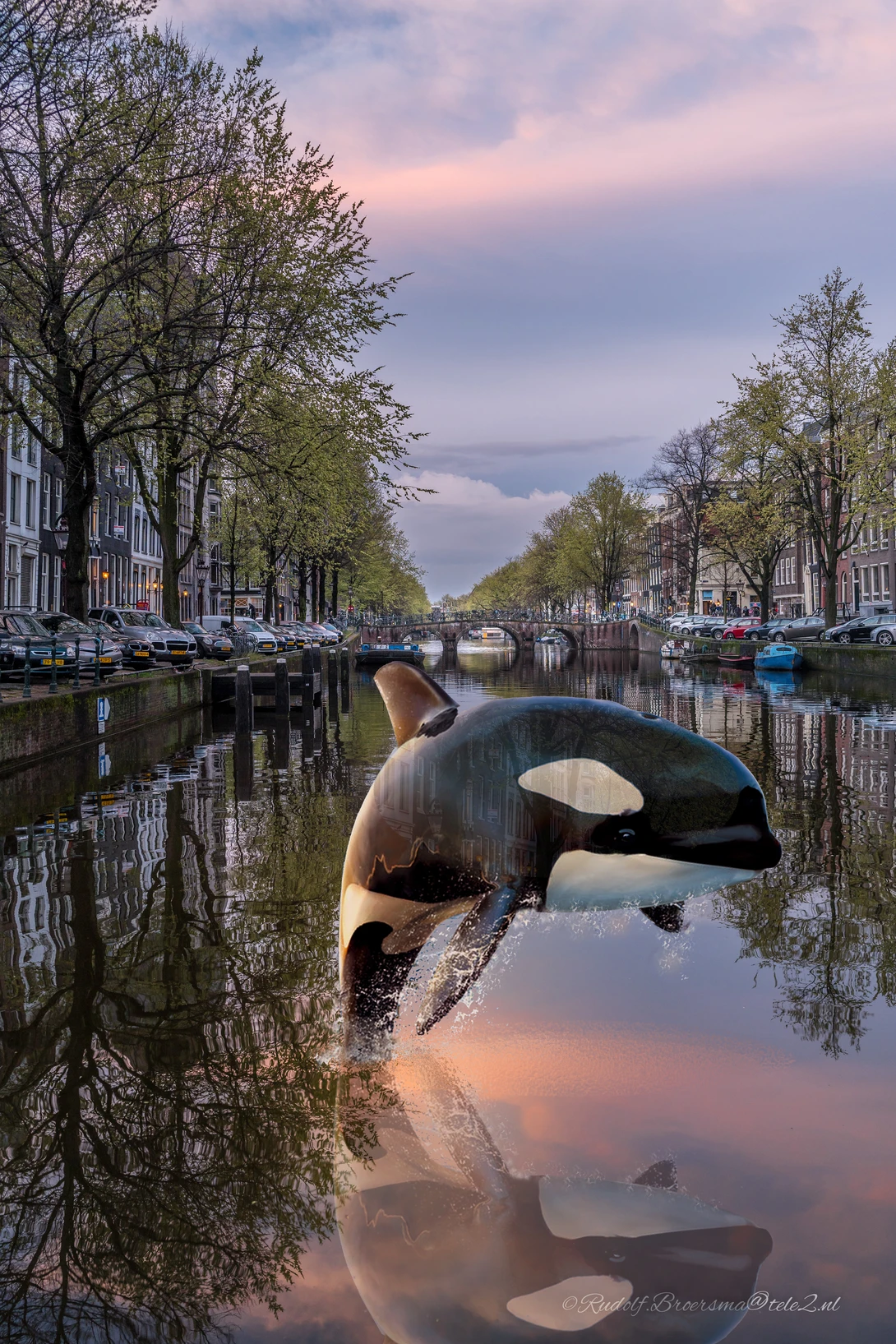 View 0f891fa3f970d4e043dc6a7c6ef67807.jpg by Ruud Broersma