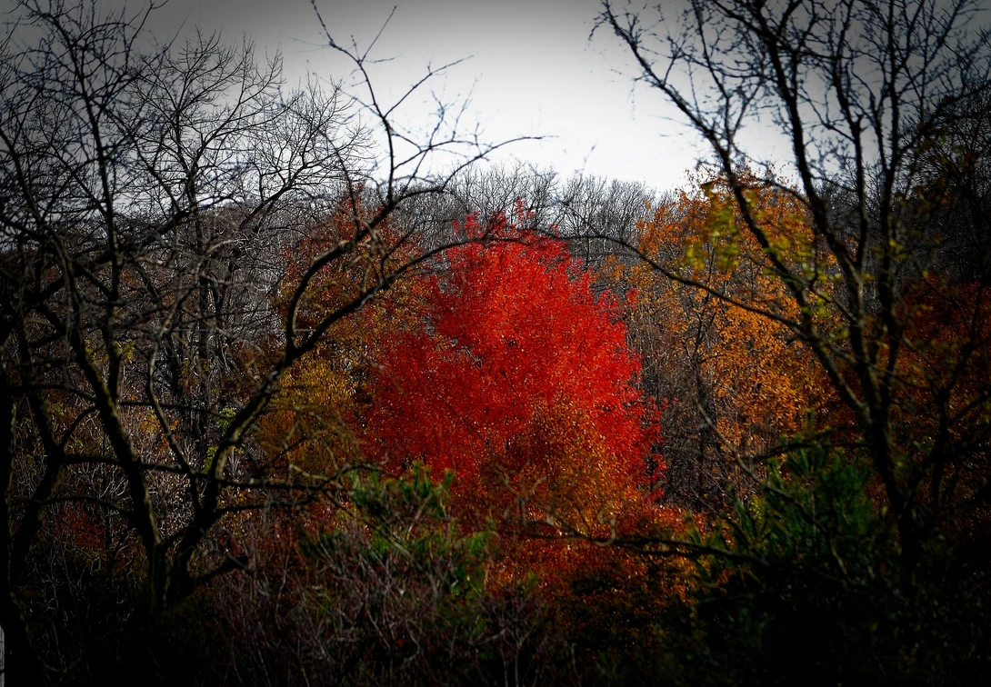 View 7a9c053f6e9c0041b5b7fa899f065179.jpg by David Weiss