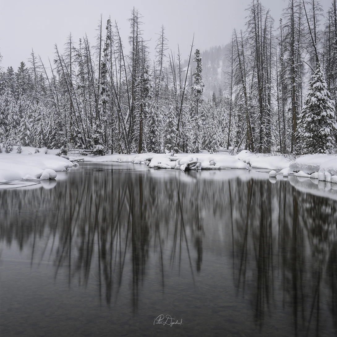 View d9649c190acb8059c92ae59ea3f5c5aa.jpg by Peter Dyndiuk