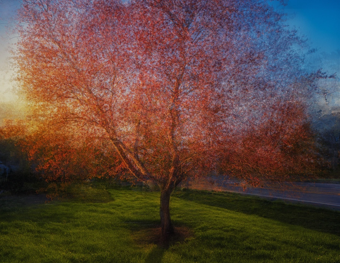 View 335ba9f442a7ddf301f336c2d43c7595.jpg by Kyle Foreman