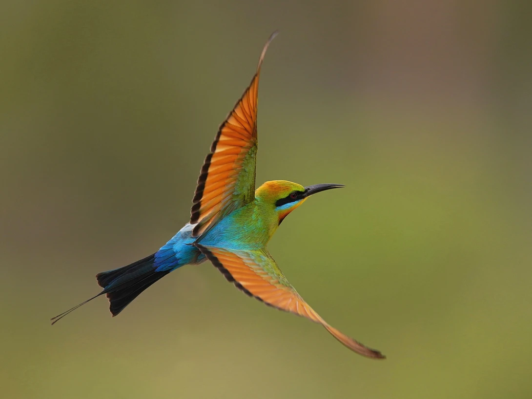 View 535580be940c2bfeac6912d8d10d0575.jpg by Peter Merritt