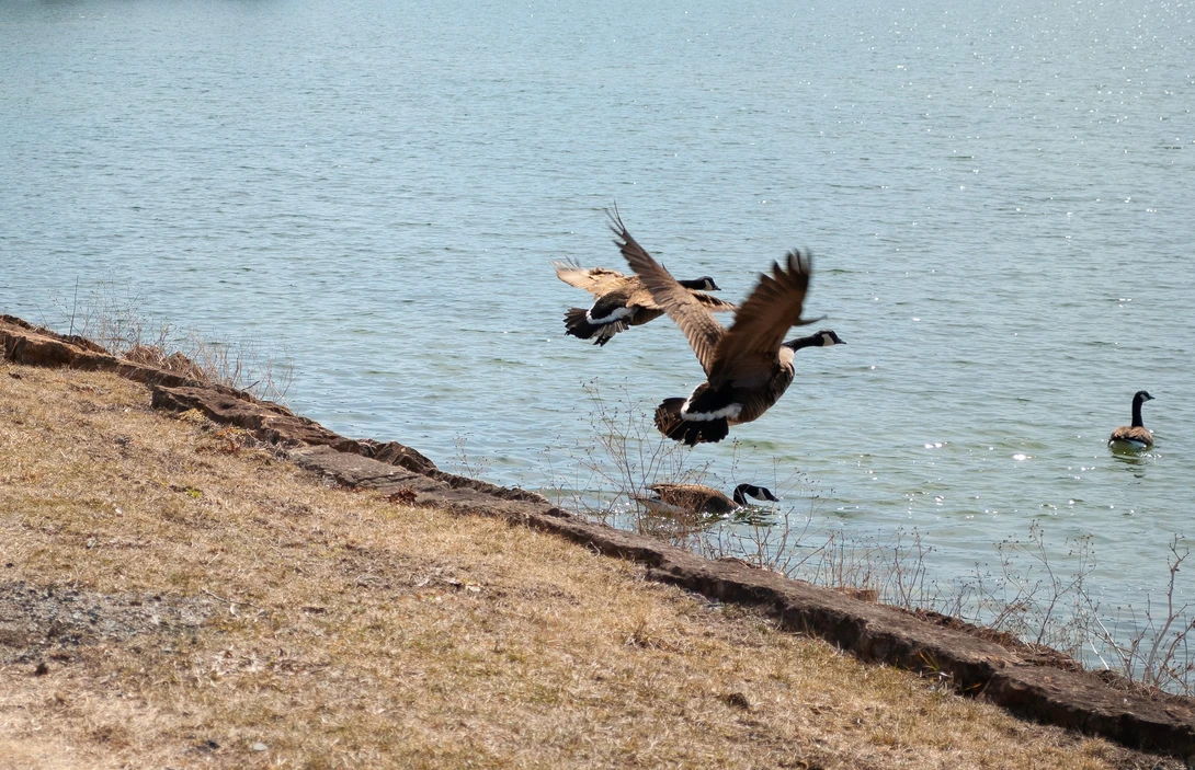 View 7f40a27732fd5706a2e9808dda1eb852.jpg by Tina Machia