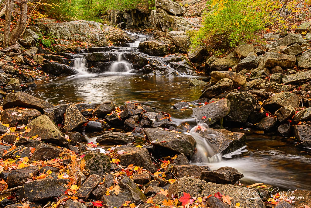 View 88d5bf70580b9cc418a1652fdc6ef3d6.jpg by David Gorke