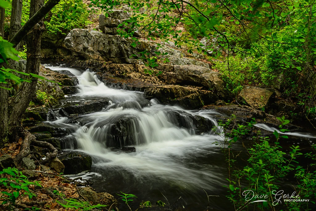 View bcc56863b6dcdc65e431fcafcd331e90.jpg by David Gorke