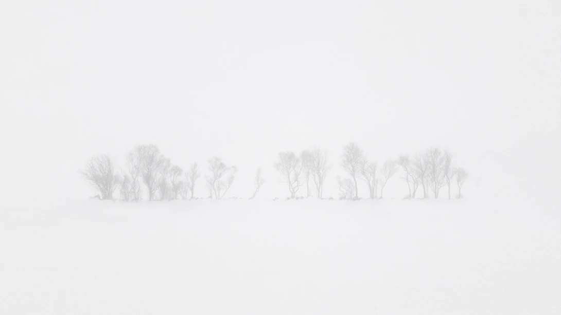 View d57cea2fce15156514c0d9c1d8099a0d.jpg by Ian Hayward