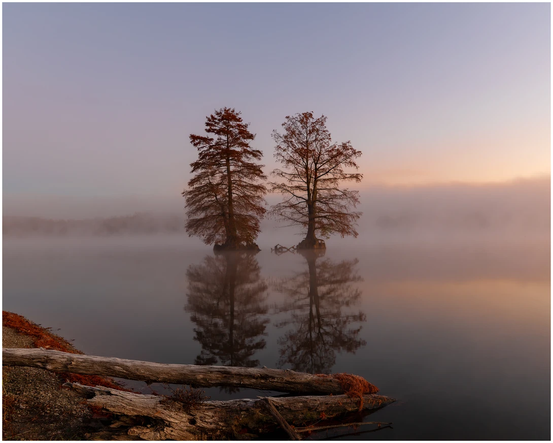 View 3a55523e1fe8bc2d646e3d0949fcc6a4.jpeg by Keith Davis
