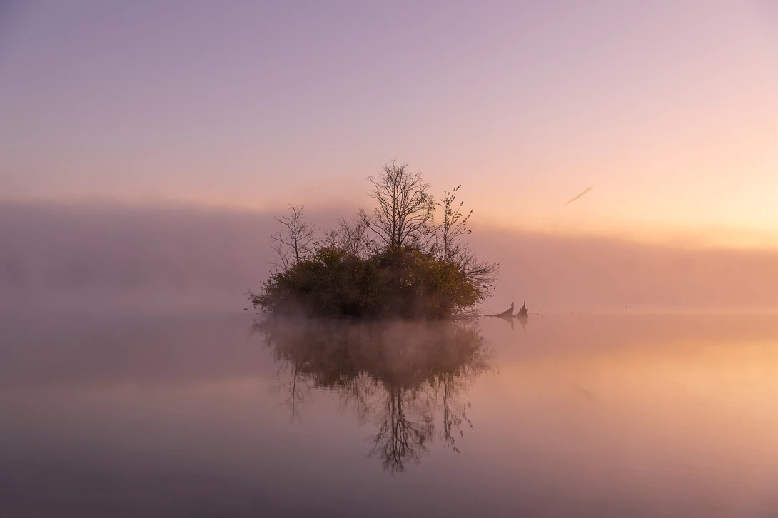 View b22485f0861bcbd7400c296f2b9360dc.jpeg by Keith Davis