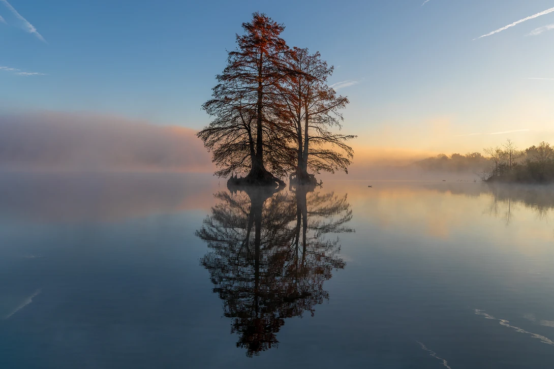 View eab0504778d6e5d7b17f59e30ca37158.jpeg by Keith Davis