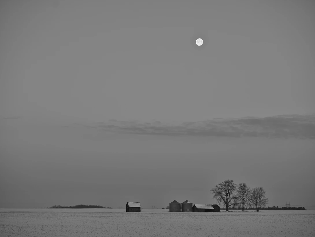 View 6d70e361cc49ef22c5057fe13ba6712b.jpg by Rhonald Rose