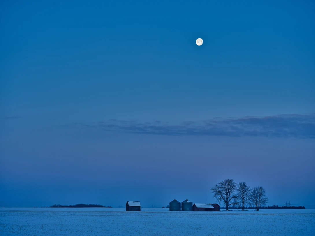 View 7a5cb637fc2c79e9e3e9ecd7aaefbc5e.jpg by Rhonald Rose