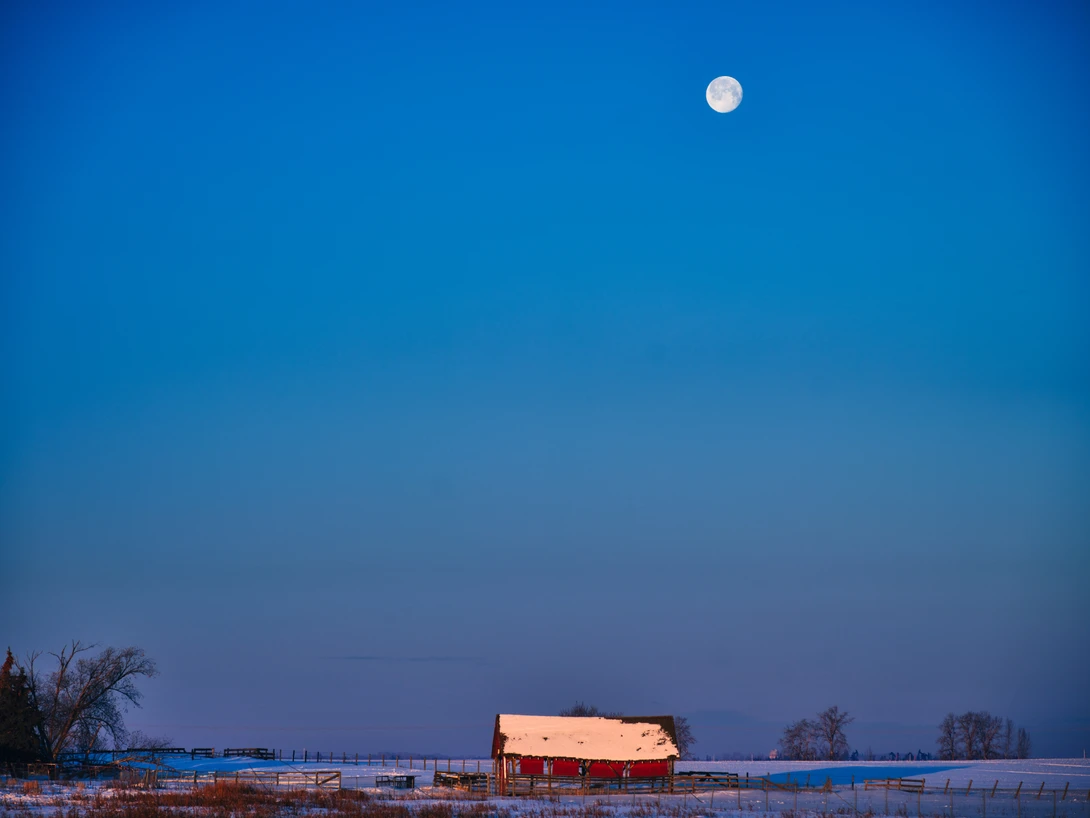 View 97f6dcb63487dbb8a1d0c5b70d5ca84d.jpg by Rhonald Rose